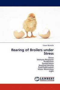 bokomslag Rearing of Broilers Under Stress