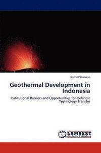 bokomslag Geothermal Development in Indonesia
