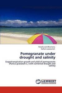 bokomslag Pomegranate Under Drought and Salinity