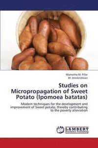 bokomslag Studies on Micropropagation of Sweet Potato (Ipomoea Batatas)