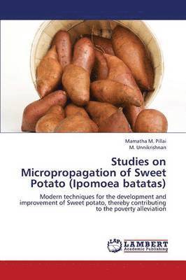 Studies on Micropropagation of Sweet Potato (Ipomoea Batatas) 1