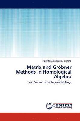 bokomslag Matrix and Grobner Methods in Homological Algebra