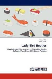 bokomslag Lady Bird Beetles