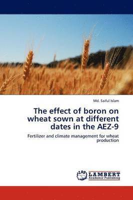 The Effect of Boron on Wheat Sown at Different Dates in the Aez-9 1