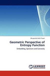 bokomslag Geometric Perspective of Entropy Function
