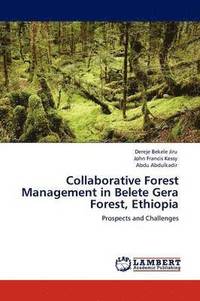 bokomslag Collaborative Forest Management in Belete Gera Forest, Ethiopia
