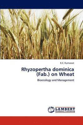 Rhyzopertha dominica (Fab.) on Wheat 1
