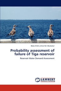 bokomslag Probability assessment of failure of Tiga reservoir