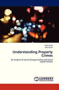 bokomslag Understanding Property Crimes