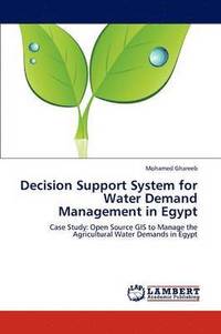 bokomslag Decision Support System for Water Demand Management in Egypt