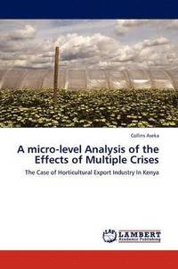 bokomslag A Micro-Level Analysis of the Effects of Multiple Crises