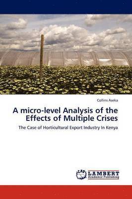 A Micro-Level Analysis of the Effects of Multiple Crises 1
