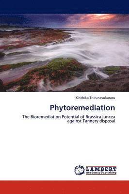 Phytoremediation 1