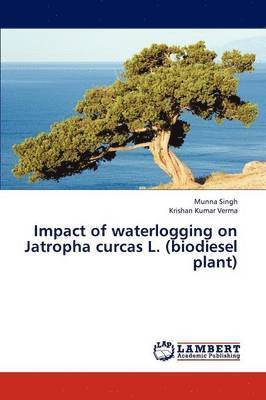 bokomslag Impact of waterlogging on Jatropha curcas L. (biodiesel plant)