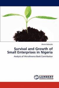 bokomslag Survival and Growth of Small Enterprises in Nigeria