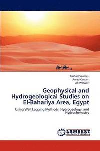 bokomslag Geophysical and Hydrogeological Studies on El-Bahariya Area, Egypt