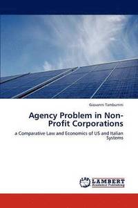 bokomslag Agency Problem in Non-Profit Corporations