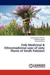 bokomslag Folk Medicinal & Ethnomedicinal uses of sixty Plants of Sindh Pakistan