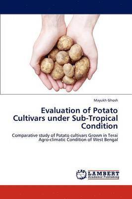 Evaluation of Potato Cultivars Under Sub-Tropical Condition 1