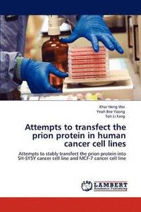 bokomslag Attempts to Transfect the Prion Protein in Human Cancer Cell Lines