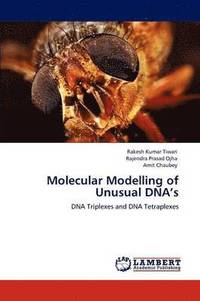 bokomslag Molecular Modelling of Unusual DNA's