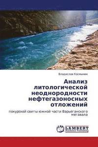 bokomslag Analiz Litologicheskoy Neodnorodnosti Neftegazonosnykh Otlozheniy