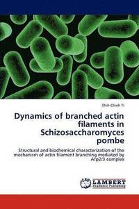 bokomslag Dynamics of Branched Actin Filaments in Schizosaccharomyces Pombe
