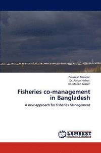 bokomslag Fisheries Co-Management in Bangladesh