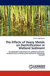 bokomslag The Effects of Heavy Metals on Denitrification in Wetland Sediment