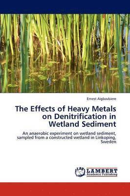 The Effects of Heavy Metals on Denitrification in Wetland Sediment 1