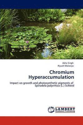 Chromium Hyperaccumulation 1