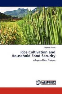 bokomslag Rice Cultivation and Household Food Security