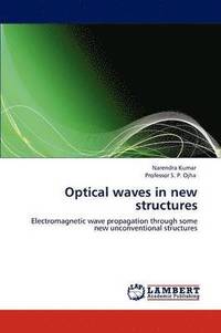 bokomslag Optical waves in new structures
