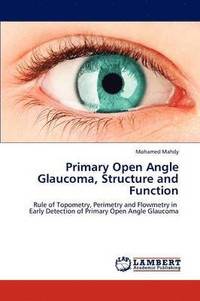 bokomslag Primary Open Angle Glaucoma, Structure and Function