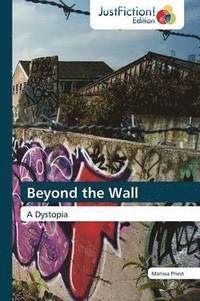 bokomslag Beyond the Wall