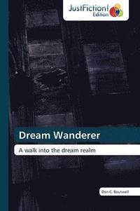 bokomslag Dream Wanderer