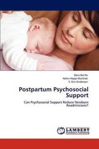 bokomslag Postpartum Psychosocial Support