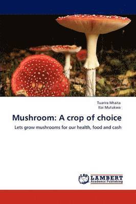 Mushroom 1