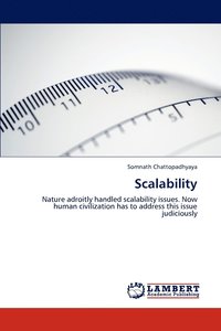 bokomslag Scalability