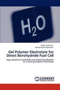bokomslag Gel Polymer Electrolyte for Direct Borohydride Fuel Cell