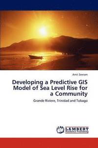 bokomslag Developing a Predictive GIS Model of Sea Level Rise for a Community