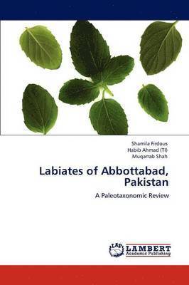 Labiates of Abbottabad, Pakistan 1