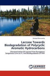 bokomslag Laccase Towards Biodegradation of Polycyclic Aromatic Hydrocarbons