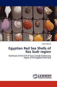 bokomslag Egyptian Red Sea Shells of Ras Sudr region