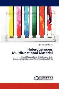 bokomslag Heterogeneous Multifunctional Material