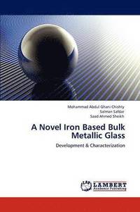 bokomslag A Novel Iron Based Bulk Metallic Glass