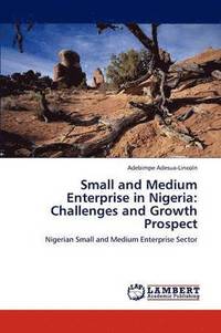 bokomslag Small and Medium Enterprise in Nigeria