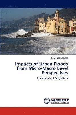 bokomslag Impacts of Urban Floods from Micro-Macro Level Perspectives