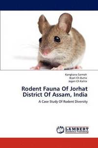 bokomslag Rodent Fauna of Jorhat District of Assam, India
