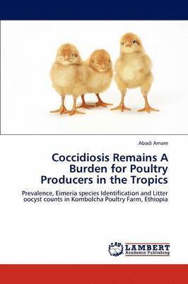 Coccidiosis Remains A Burden for Poultry Producers in the Tropics 1